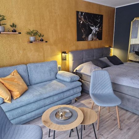 Apartment Am Bocksberg II جوسلار المظهر الخارجي الصورة
