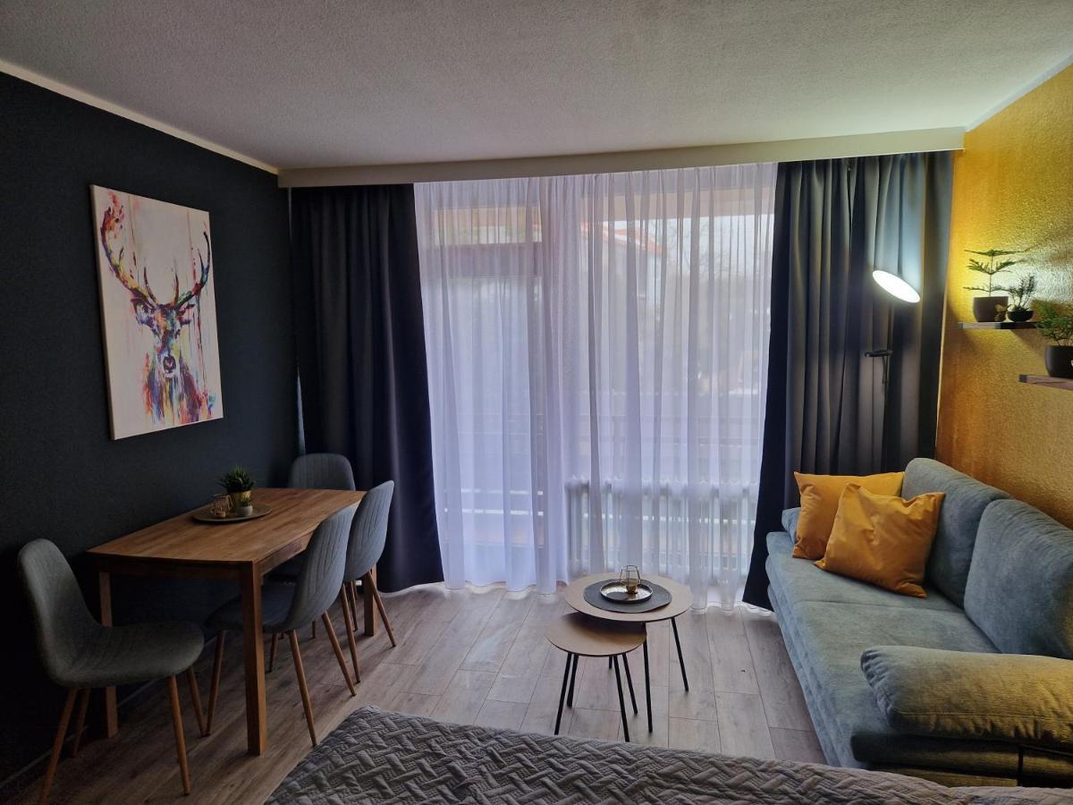 Apartment Am Bocksberg II جوسلار المظهر الخارجي الصورة