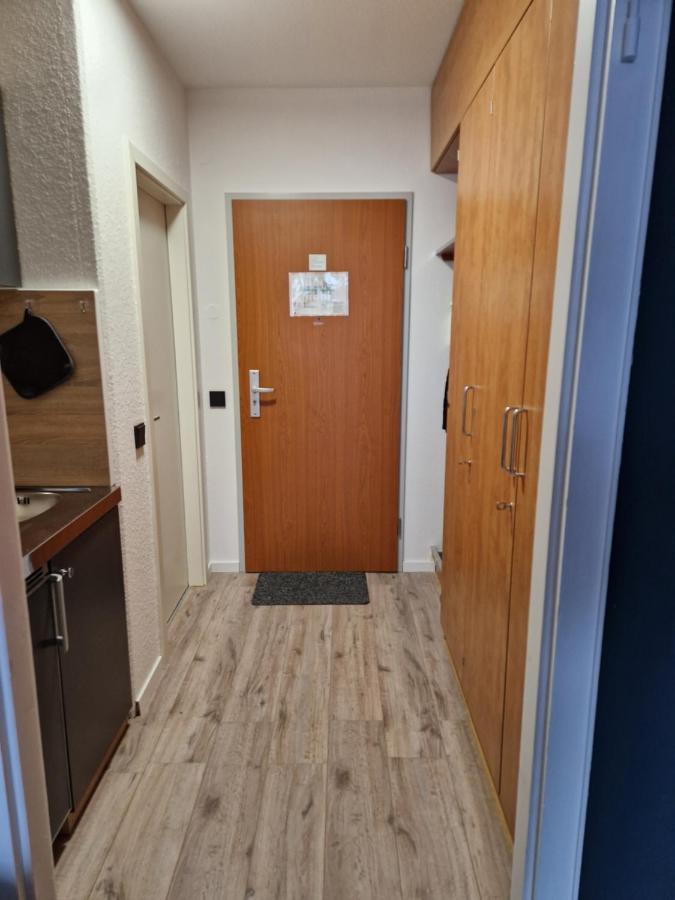 Apartment Am Bocksberg II جوسلار المظهر الخارجي الصورة