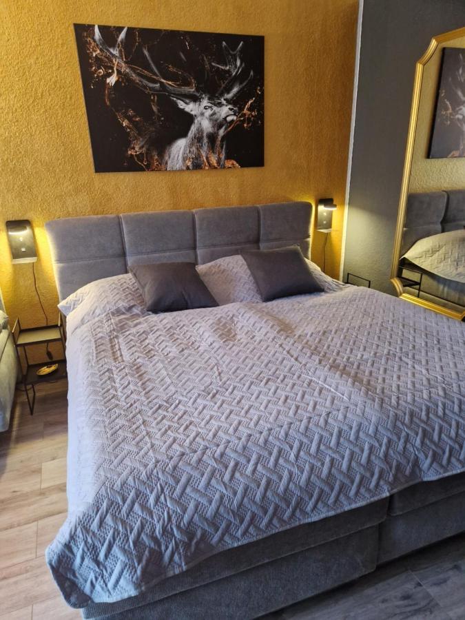 Apartment Am Bocksberg II جوسلار المظهر الخارجي الصورة