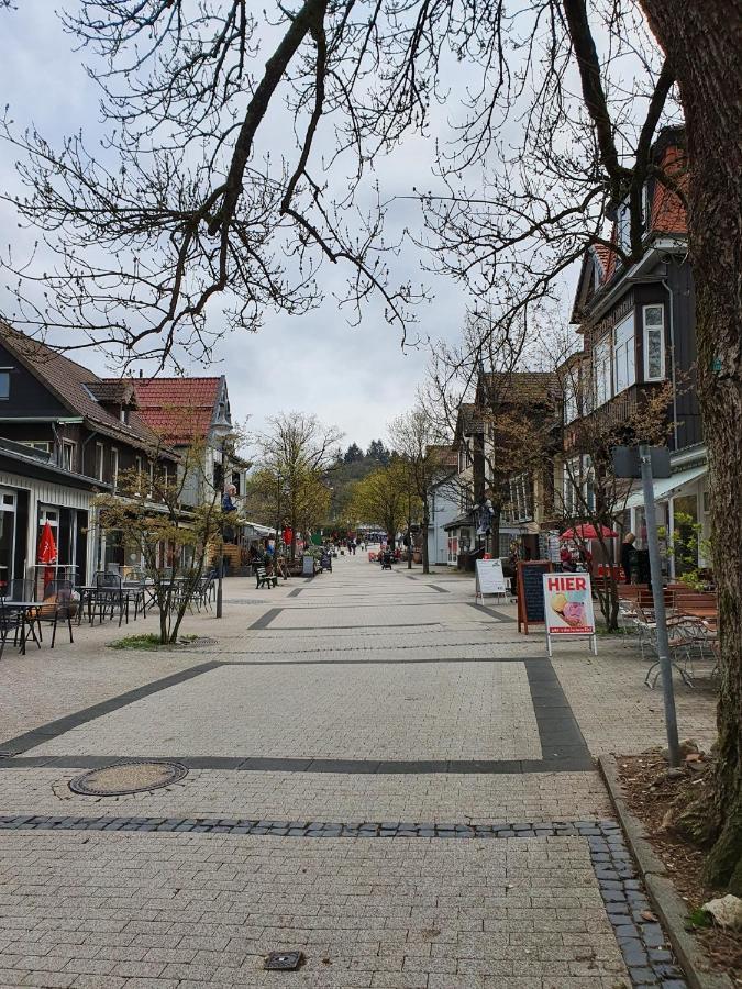 Apartment Am Bocksberg II جوسلار المظهر الخارجي الصورة
